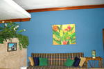 Mi Casa Hostel - Image 10