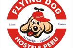 Flying Dog Hostel Arequipa