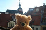 Teddy Bear Hostel Riga