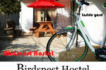 Birdsnest Hostel